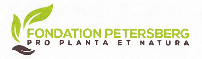 Fondation Petersberg Logo