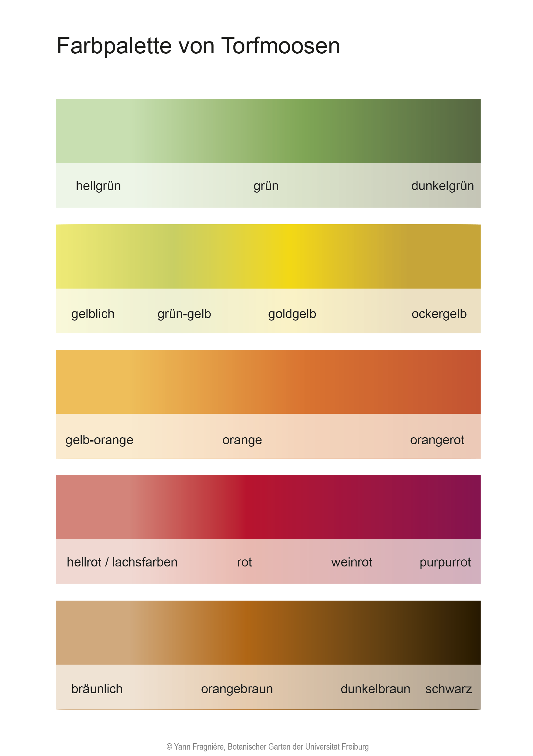 Couleurs DE