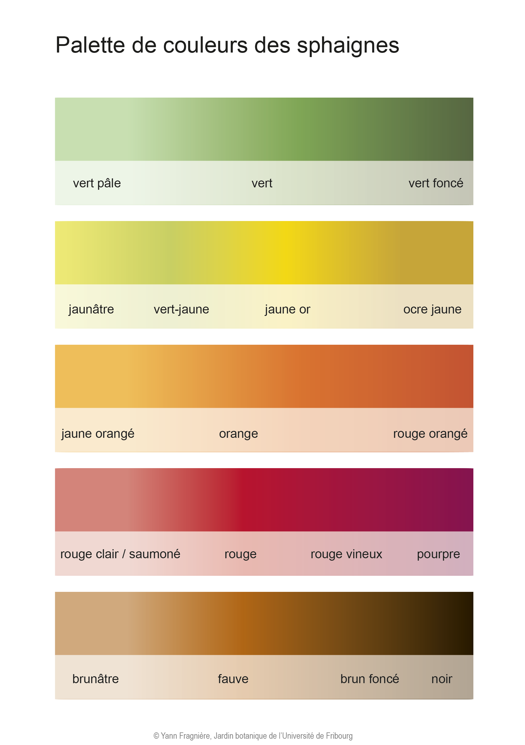 Couleurs FR