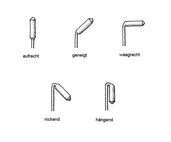 Glossar Kapselstand 725