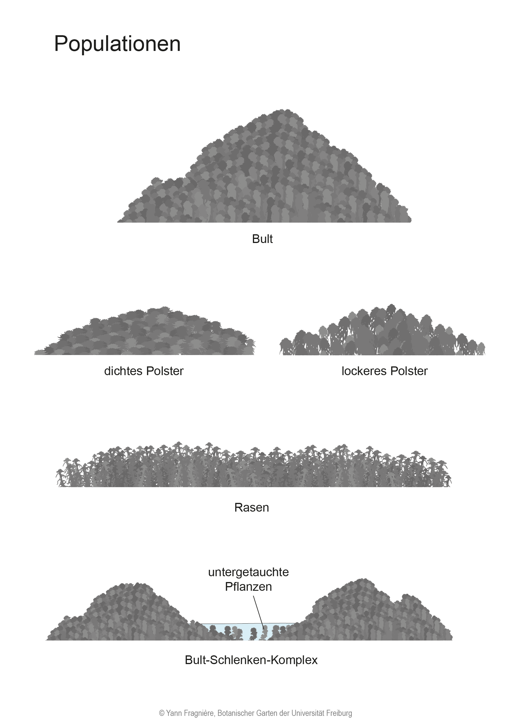 Populations DE