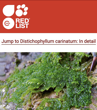 iucnredlistspecies